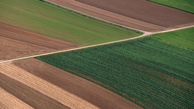 campos-abiertos-portada