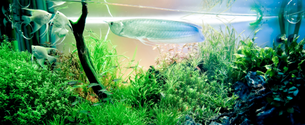 Monitorización y control de iluminación en centro de investigación