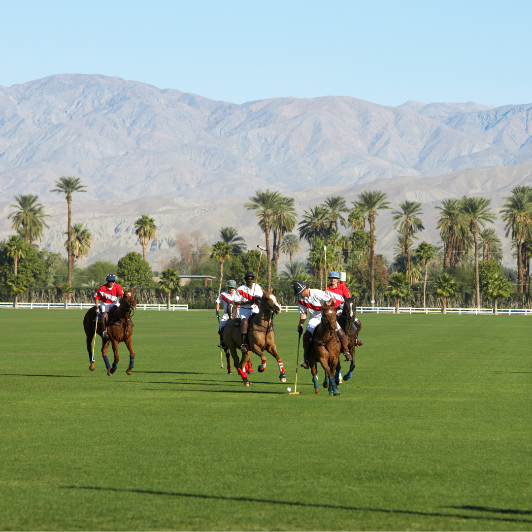 campo de polo