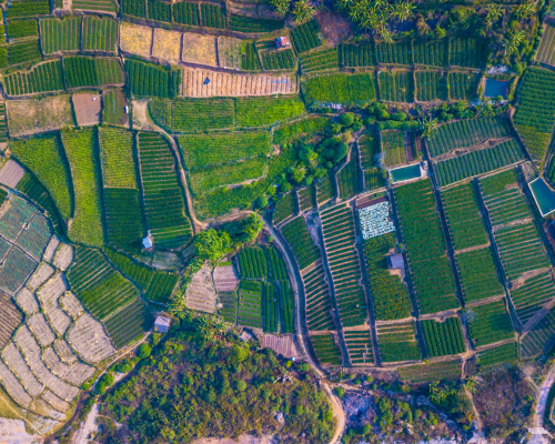 planificación del riego agrícola