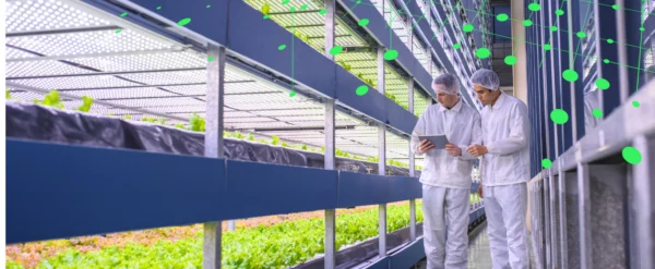 dos profesionales trabajando en un invernadero hidropónico de última generación