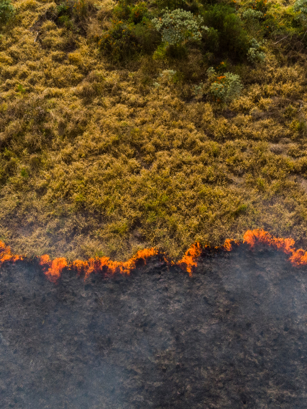Sistema IoT para deteção de incêndios florestais