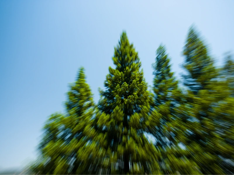 Deteção precoce de incêndios florestais