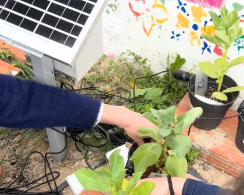 OdinS cede tecnología para el huerto experiemental del lES Francisco Salzillo