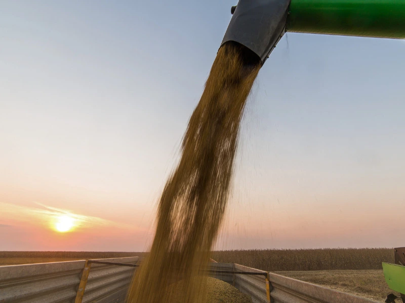 Soluções abrangentes de IoT para monitorização de gado e silos