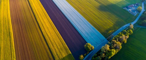 SENSE4SOIL