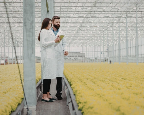 Qu'est-ce qu'un laboratoire vivant ?
