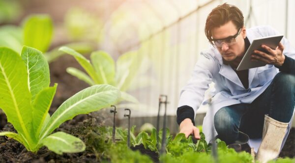 Caso de éxito-agro-invernadero inteligente