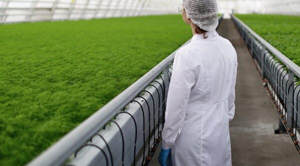 Caso de éxito-agro-gestión de invernaderos hidropónicos