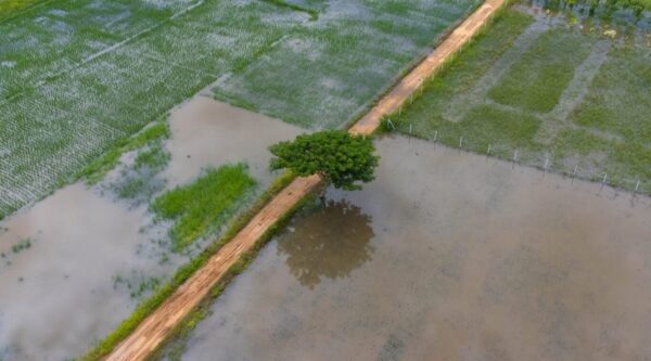 Caso de éxito-agro-monitorización de riadas e inundaciones