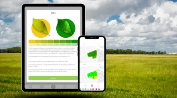 Guide rapide des indices de végétation et de l'imagerie satellite