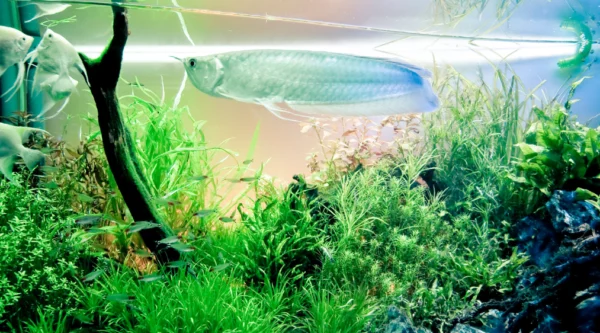 Monitorización y control de iluminación en centro de investigación