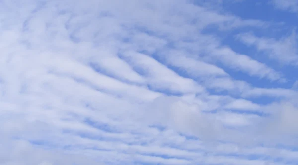 monitorización de la calidad del aire