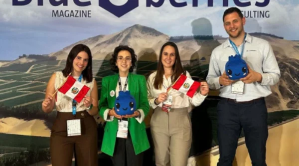 A OdinS participa no Blueberries graças aos Fundos INFO e ERDF