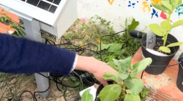 A OdinS empresta tecnologia para o jardim experimental do Francisco Salzillo