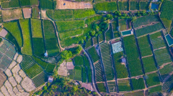 planificación del riego agrícola