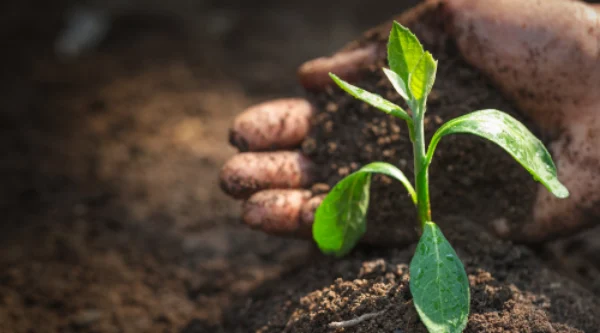 sensores de suelo agrícolas